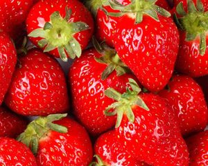 Strawberries_export fruits arkadinapardis