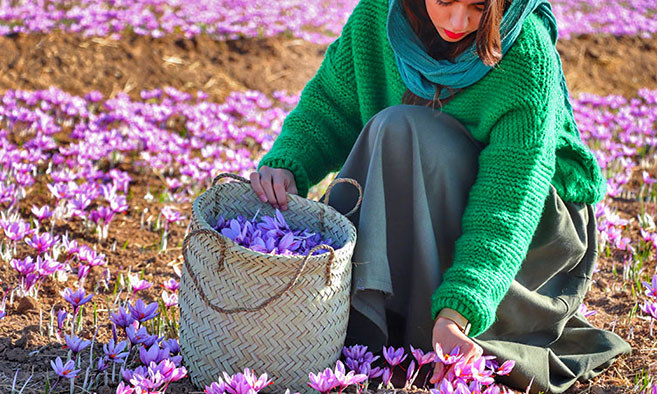 buy persian saffron