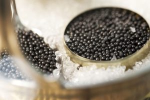 Caviar Exports