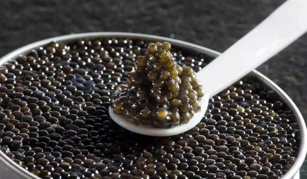 Caviar Exports